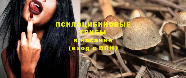 кокс Алексин