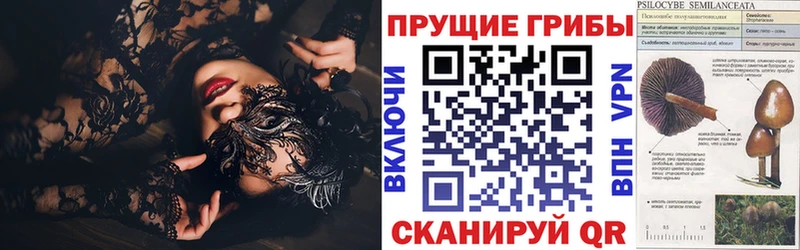 hydra маркетплейс  Жуковский  Псилоцибиновые грибы мухоморы  цены наркотик 