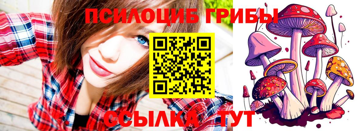 Псилоцибиновые грибы мухоморы  Вход с VPN  Жуковский 