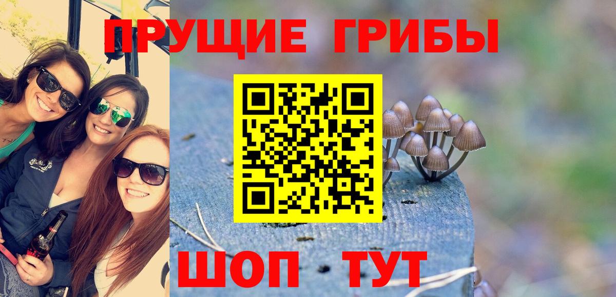 Галлюциногенные грибы Psilocybine cubensis Жуковский